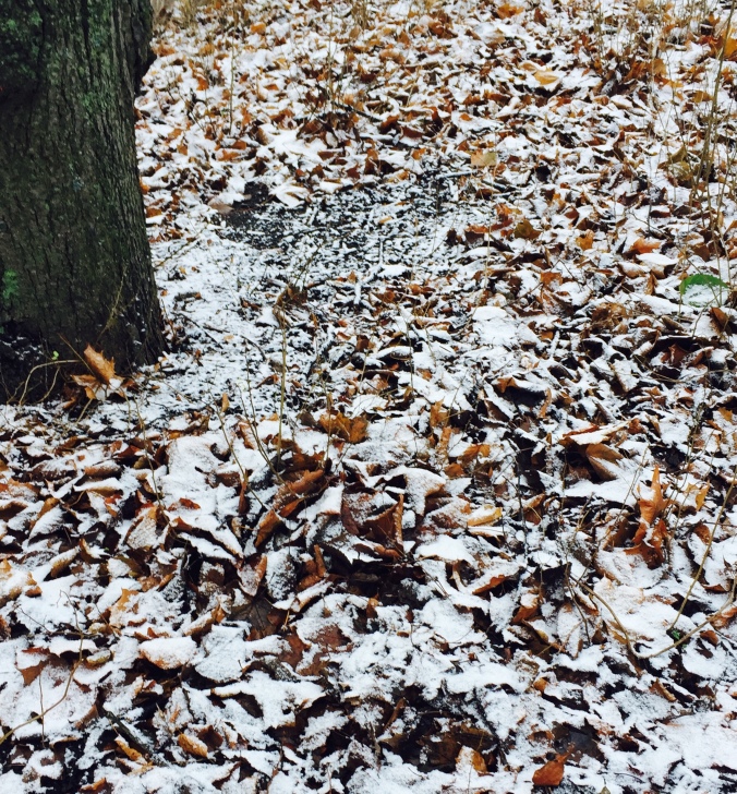 First snow of the season