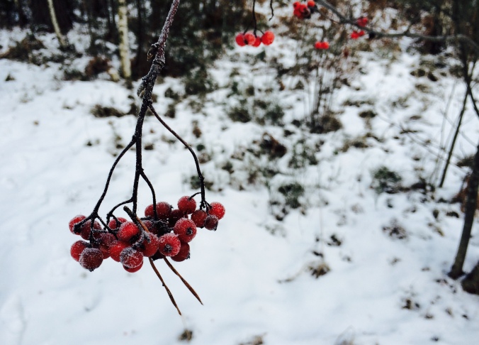 Christmas 2014 in Lappeenranta